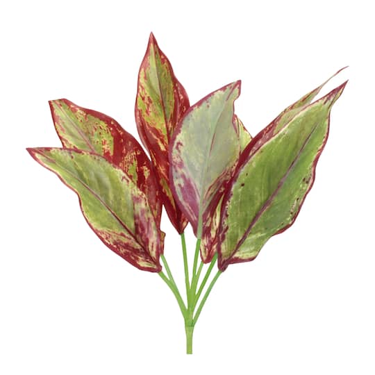 15.75" Variegated Foliage Plants, 6ct.